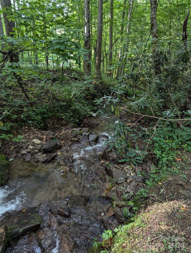 view of local wilderness