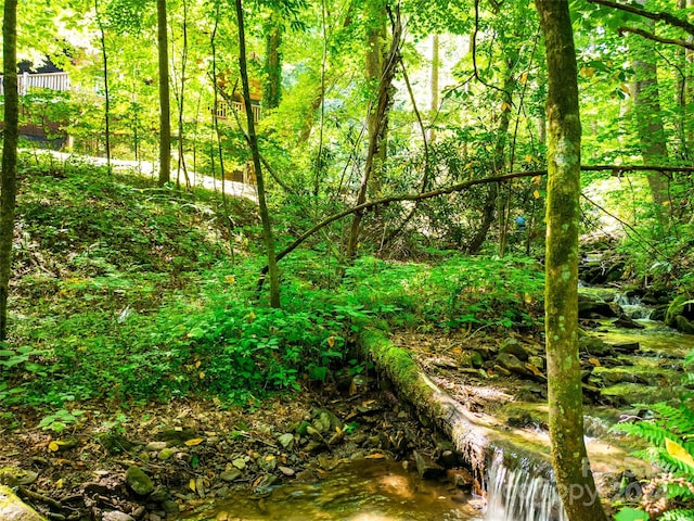 view of local wilderness