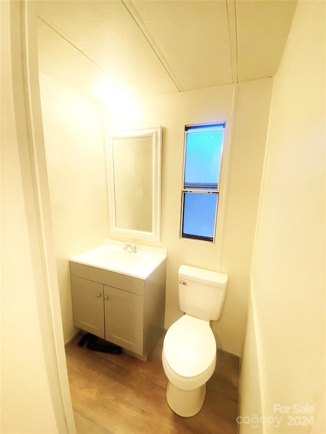 bathroom with toilet, vanity, and hardwood / wood-style flooring