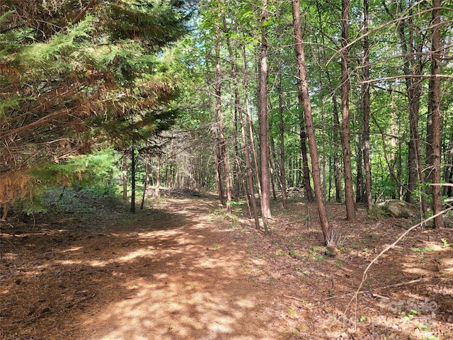 0 Mcowenben Pass Unit 19, 22, 23, Lake Lure, NC 28746 - photo 5