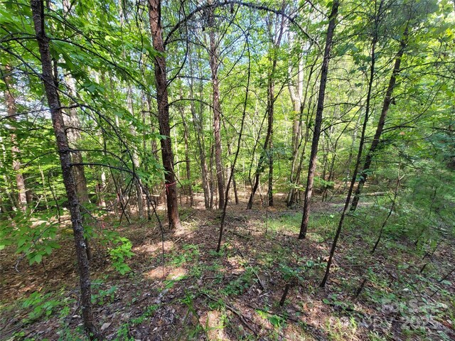 0 Mcowenben Pass Unit 19, 22, 23, Lake Lure, NC 28746 - photo 6