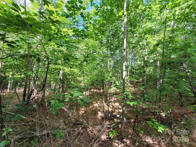 0 Mcowenben Pass Unit 19, 22, 23, Lake Lure, NC 28746 - photo 8