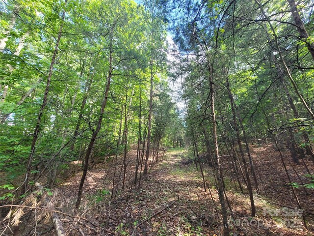 0 Mcowenben Pass Unit 19, 22, 23, Lake Lure, NC 28746 - photo 10