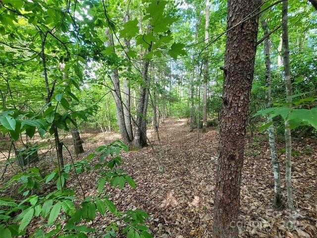 0 Mcowenben Pass Unit 19, 22, 23, Lake Lure, NC 28746 - photo 11