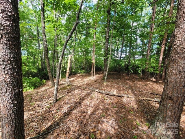 0 Mcowenben Pass Unit 19, 22, 23, Lake Lure, NC 28746 - photo 12