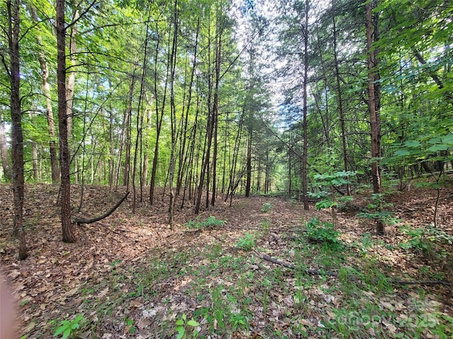 0 Mcowenben Pass Unit 19, 22, 23, Lake Lure, NC 28746 - photo 13