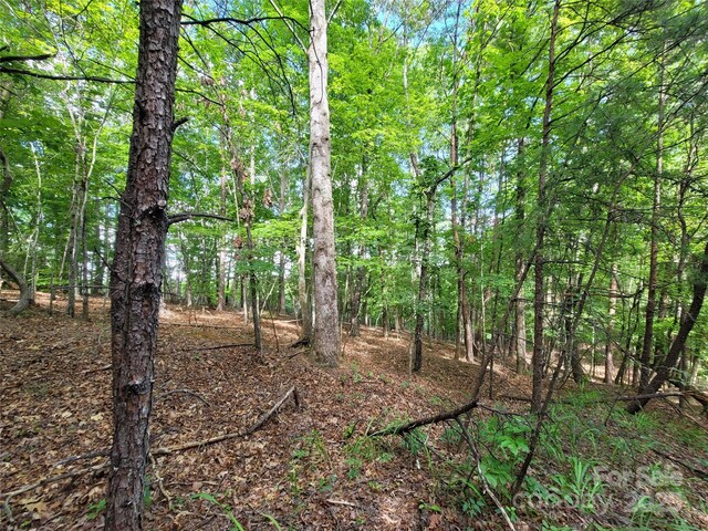 0 Mcowenben Pass Unit 19, 22, 23, Lake Lure, NC 28746 - photo 14