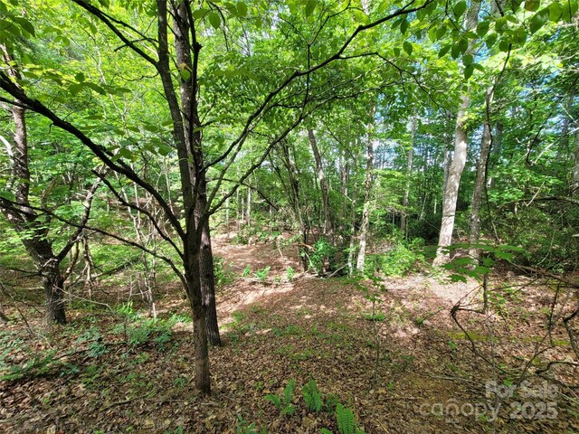 0 Mcowenben Pass Unit 19, 22, 23, Lake Lure, NC 28746 - photo 15