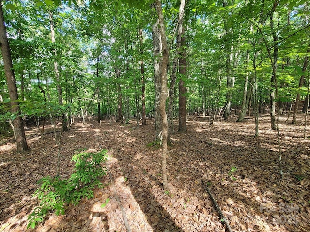 0 Mcowenben Pass Unit 19, 22, 23, Lake Lure, NC 28746 - photo 16