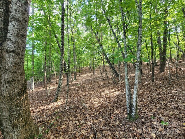 0 Mcowenben Pass Unit 19, 22, 23, Lake Lure, NC 28746 - photo 17