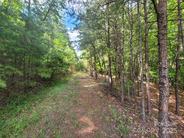 0 Mcowenben Pass Unit 19, 22, 23, Lake Lure, NC 28746 - photo 3