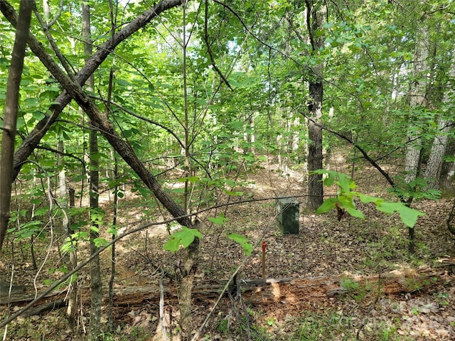 0 Mcowenben Pass Unit 19, 22, 23, Lake Lure, NC 28746 - photo 21