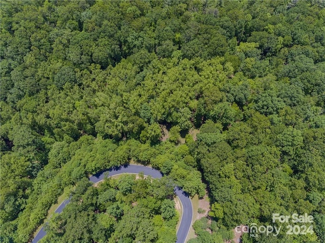 0 Mills River Way Unit 53R, Horse Shoe, NC 28742 - photo 13