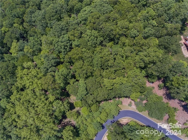 0 Mills River Way Unit 53R, Horse Shoe, NC 28742 - photo 14