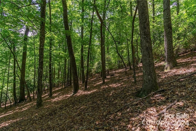 0 Mills River Way Unit 53R, Horse Shoe, NC 28742 - photo 15