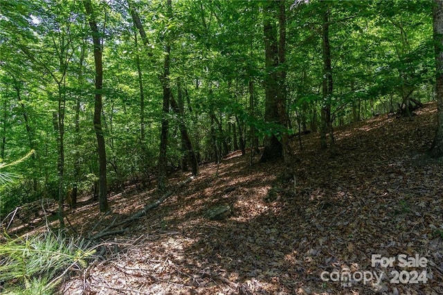 0 Mills River Way Unit 53R, Horse Shoe, NC 28742 - photo 16