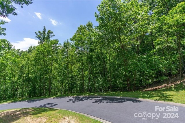 0 Mills River Way Unit 53R, Horse Shoe, NC 28742 - photo 17