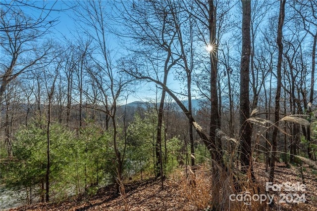 0 Mills River Way Unit 53R, Horse Shoe, NC 28742 - photo 19