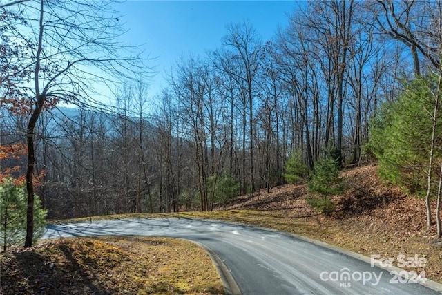 0 Mills River Way Unit 53R, Horse Shoe, NC 28742 - photo 20