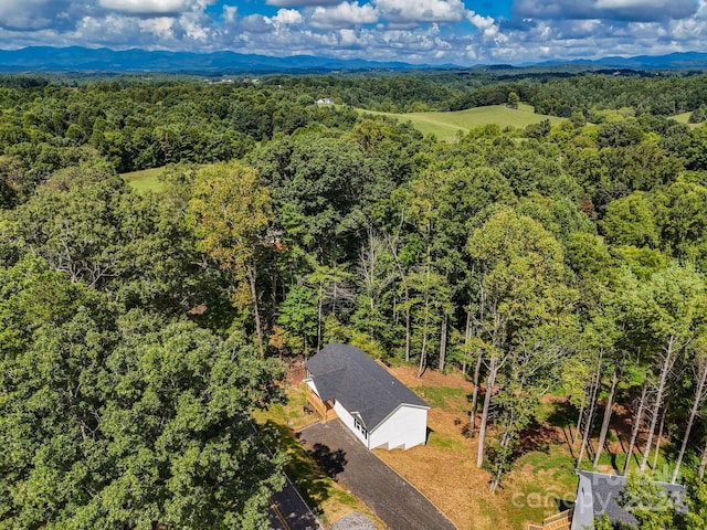 birds eye view of property featuring a mountain view