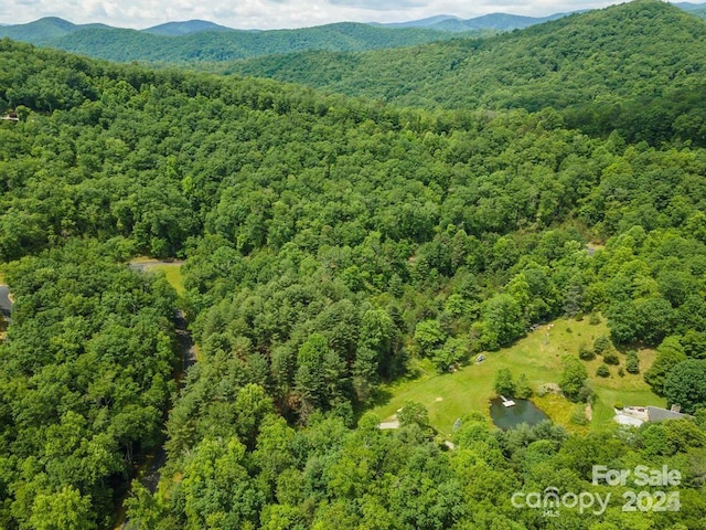 drone / aerial view with a mountain view