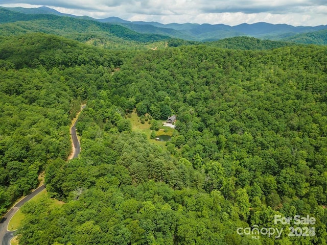 aerial view with a mountain view