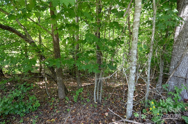 00 Victoria Dr, Marion, NC 28752 - photo 3