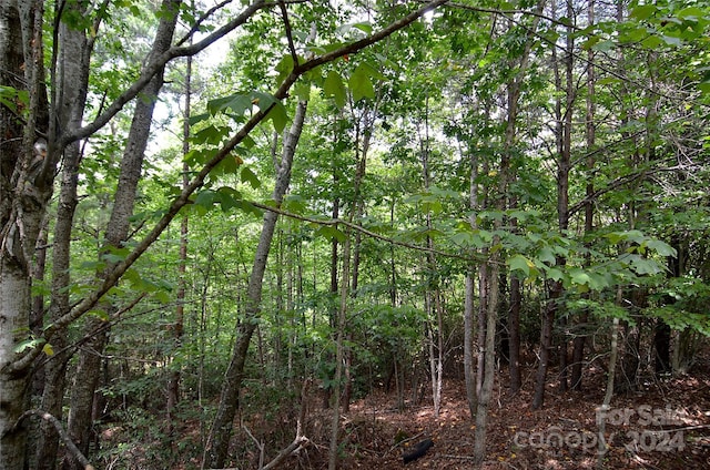 00 Victoria Dr, Marion, NC 28752 - photo 5