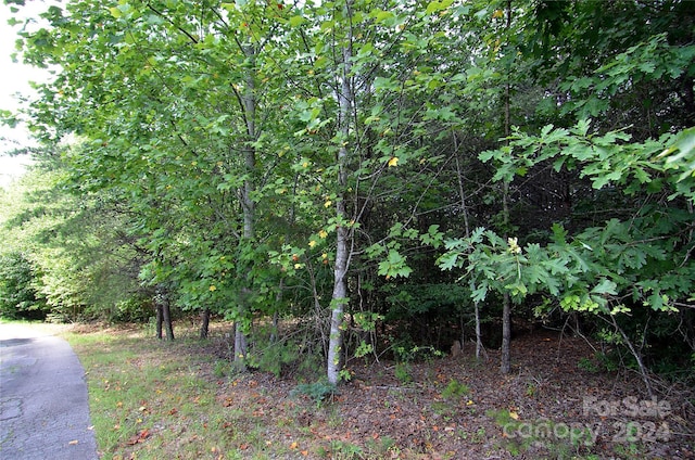 00 Victoria Dr, Marion, NC 28752 - photo 7