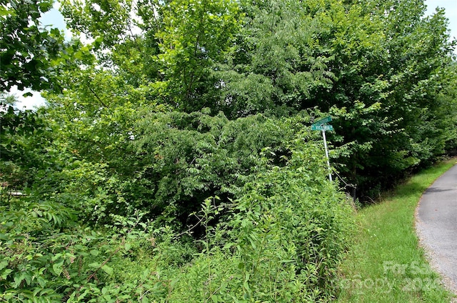 00 Victoria Dr, Marion, NC 28752 - photo 8