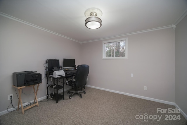 carpeted home office with crown molding