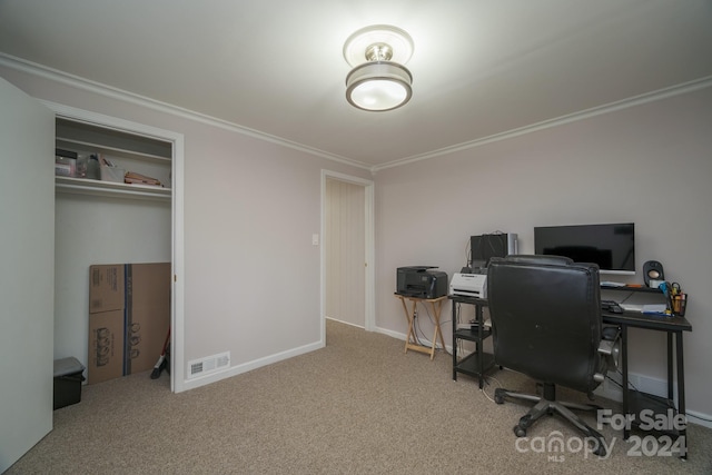 home office featuring crown molding and carpet