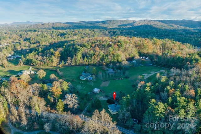 birds eye view of property featuring a mountain view