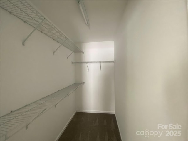 walk in closet with dark colored carpet