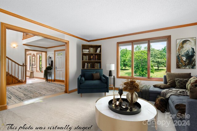 carpeted living room featuring a textured ceiling and ornamental molding