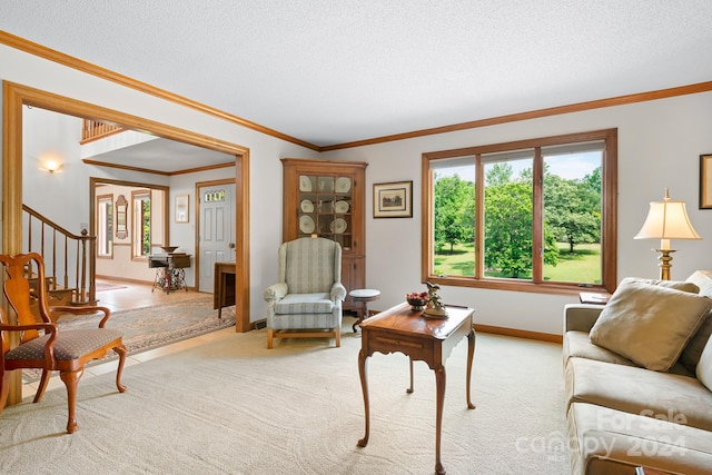 carpeted living room featuring ornamental molding and a textured ceiling