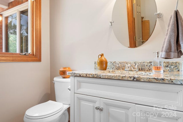 bathroom with toilet and vanity