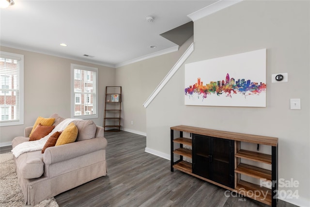 living room with ornamental molding and dark hardwood / wood-style flooring