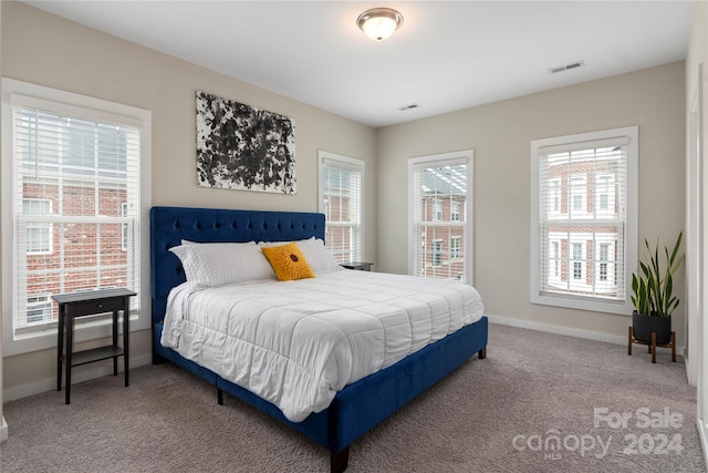 bedroom with carpet floors