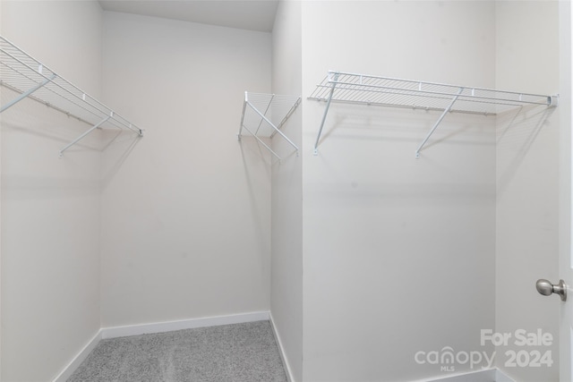 walk in closet featuring carpet