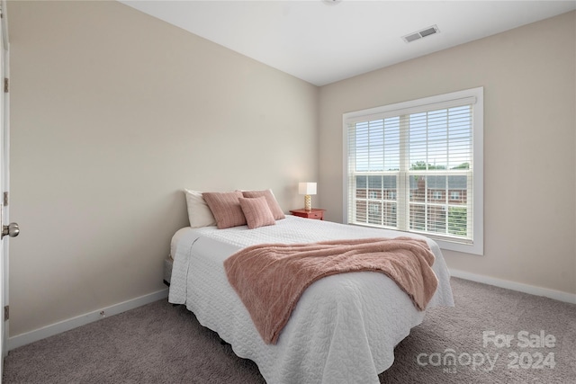 bedroom with carpet floors