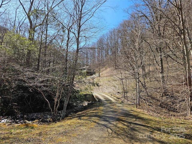 view of road featuring a wooded view