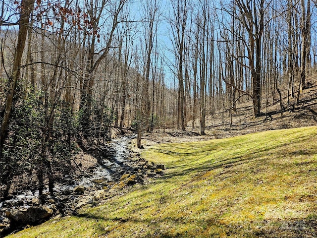 view of landscape featuring a view of trees