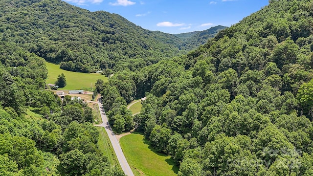 birds eye view of property featuring a mountain view and a forest view