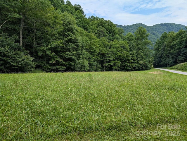 mountain view featuring a view of trees