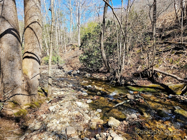 view of nature featuring a wooded view