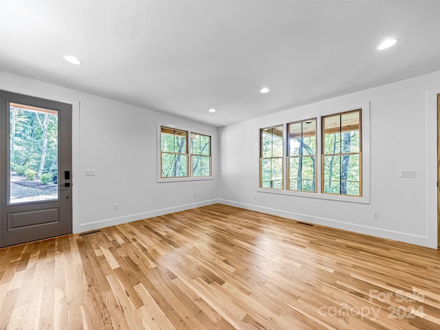 spare room featuring light hardwood / wood-style flooring and a healthy amount of sunlight