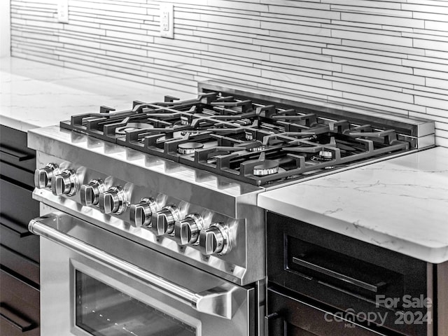 details with light stone counters, high end stainless steel range, and backsplash