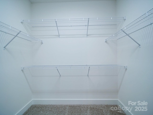 spacious closet featuring carpet floors