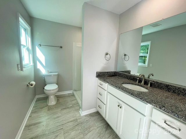 bathroom with vanity, toilet, and walk in shower